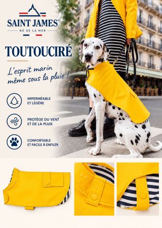 LE TOUTOUCIRÉ  ciré pour chien |Saint James